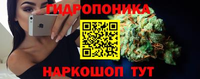 ECSTASY Будённовск